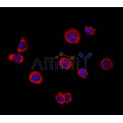 Валидация Affinity DF3127 - 13908