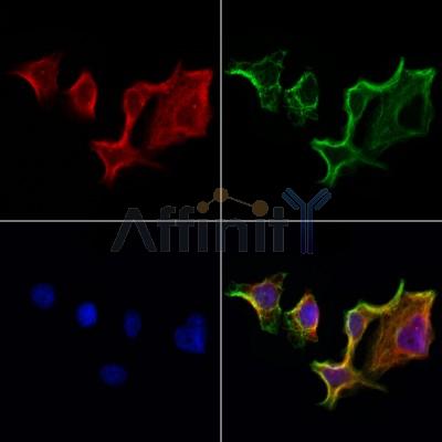 Валидация Affinity DF12111 - 6244