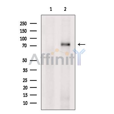 Валидация Affinity DF4327 - 15763