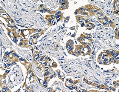 Валидация Affinity DF2368 - 12945