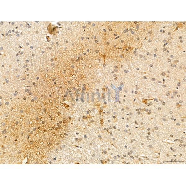 Валидация Affinity DF2711 - 13425