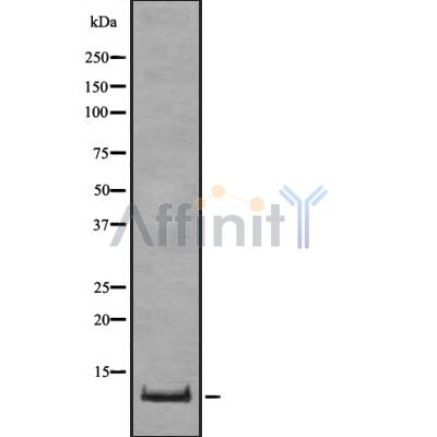Валидация Affinity DF8139 - 19993