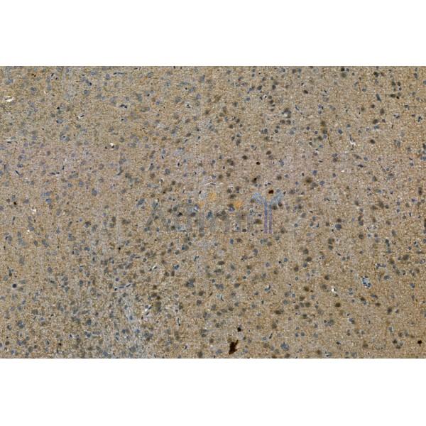 Валидация Affinity AF7746 - 4447