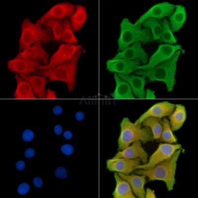 Валидация Affinity DF14791 - 10888