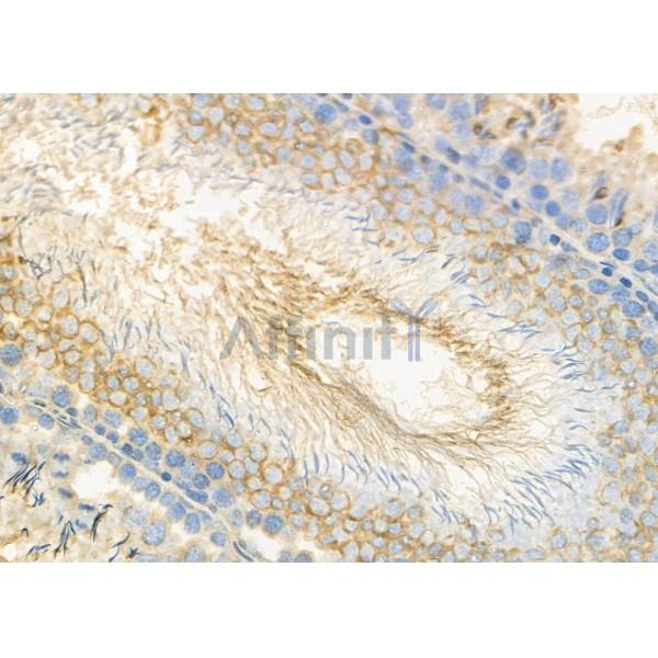 Валидация Affinity DF8904 - 21026