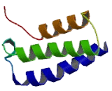 Receptor Activity Modifying Protein 2 (RAMP2) Receptor Activity Modifying Protein 2 (RAMP2)