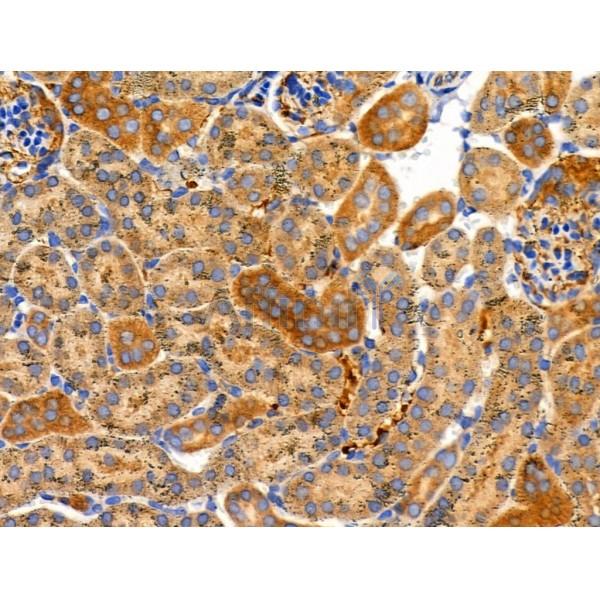 Валидация Affinity DF3660 - 14658