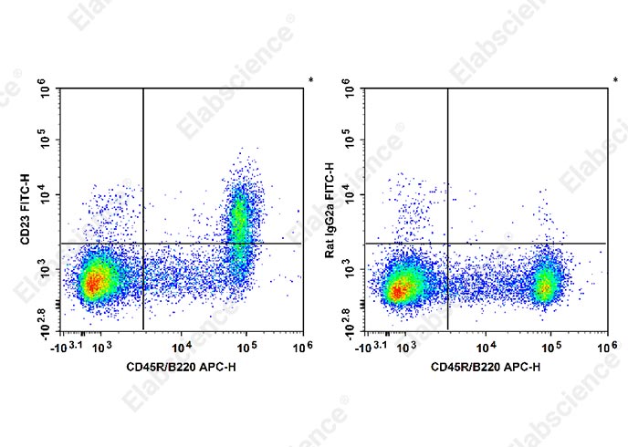 Валидация Elabscience E-AB-F1178C