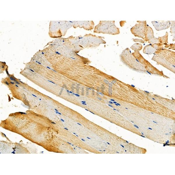 Валидация Affinity DF4988 - 16841