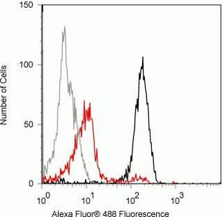 Валидация AssayVector ARM1717(2025)