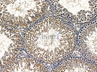 Валидация Affinity DF4441 - 15952