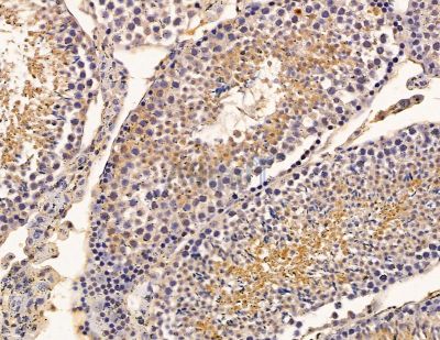 Валидация Affinity DF9884 - 22833