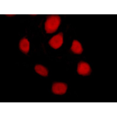 Валидация Affinity AF6106 - 3315