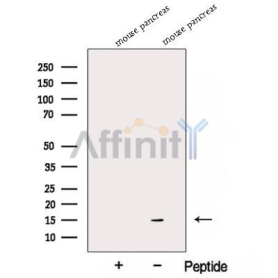 Валидация Affinity DF12836 - 7558