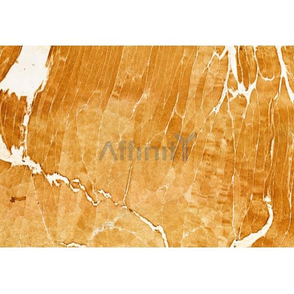 Валидация Affinity DF9838 - 22736