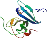 Stromal Cell Derived Factor 1 (SDF1) Stromal Cell Derived Factor 1 (SDF1)