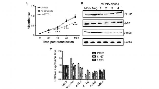 Валидация AssayVector ARM2708(5173)