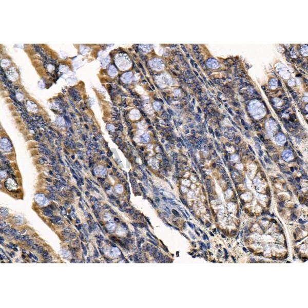 Валидация Affinity DF13402 - 8679