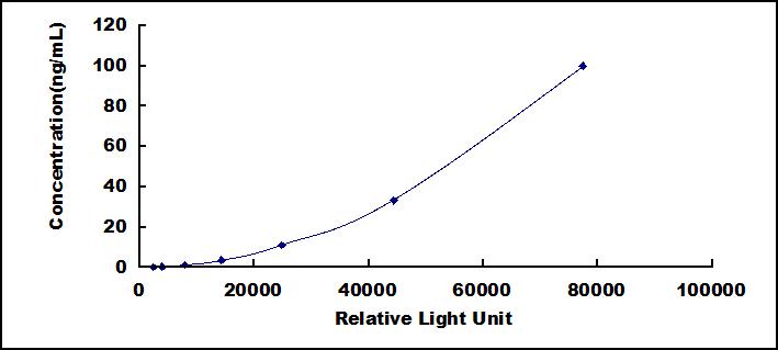 50453