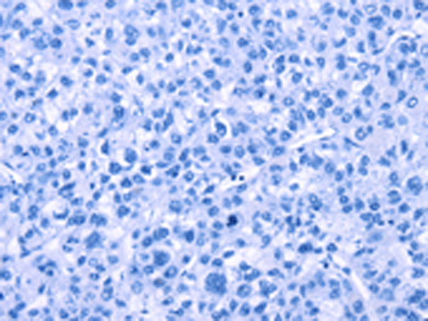 Валидация AssayVector ARM2412(4253)