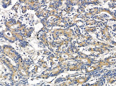 Валидация Affinity DF14492 - 10475