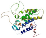G Protein Coupled Receptor 109B (GPR109B) G Protein Coupled Receptor 109B (GPR109B)