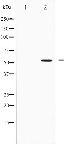 Валидация Affinity AF6438 - 3747