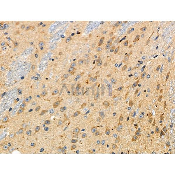 Валидация Affinity DF4422 - 15922