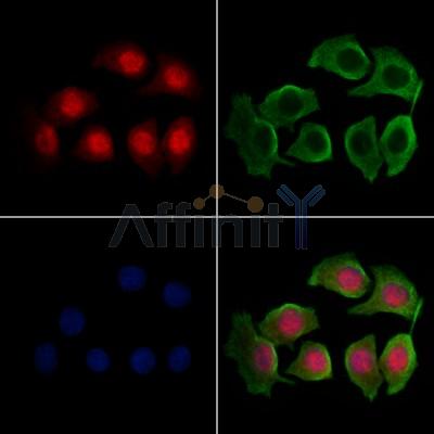 Валидация Affinity DF6197 - 17454