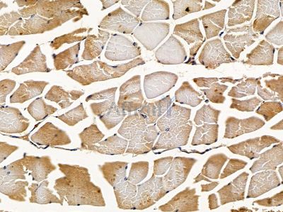 Валидация Affinity DF12973 - 7746