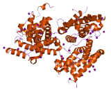 Interleukin 28B (IL28B) Interleukin 28B (IL28B)