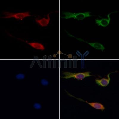 Валидация Affinity AF5453 - 3106