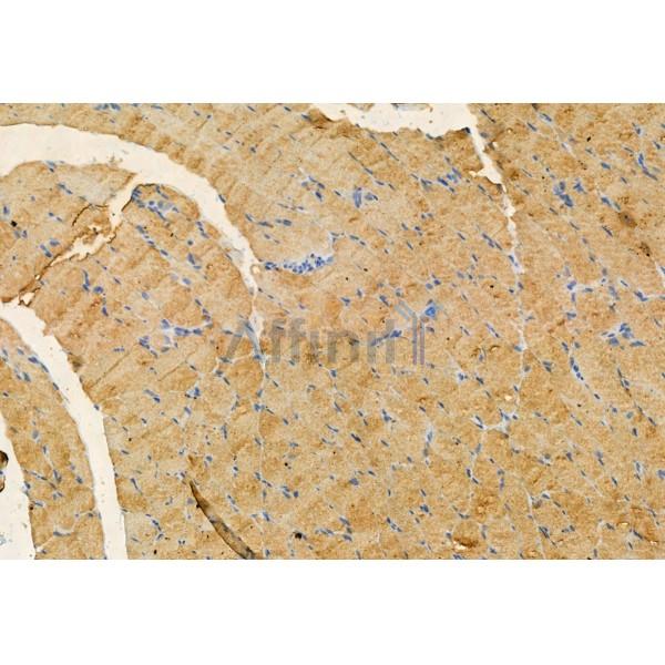 Валидация Affinity DF12060 - 6120