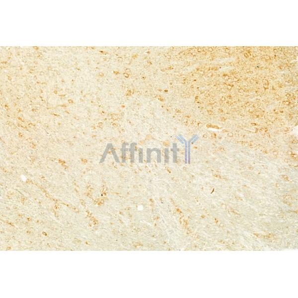 Валидация Affinity DF6045 - 17261