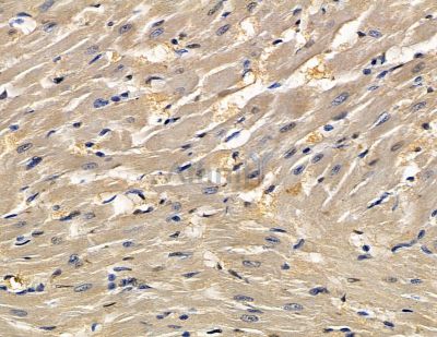 Валидация Affinity DF14038 - 9808