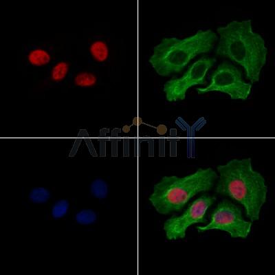 Валидация Affinity AF5204 - 2659