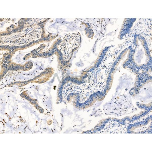 Валидация Affinity DF13407 - 8691