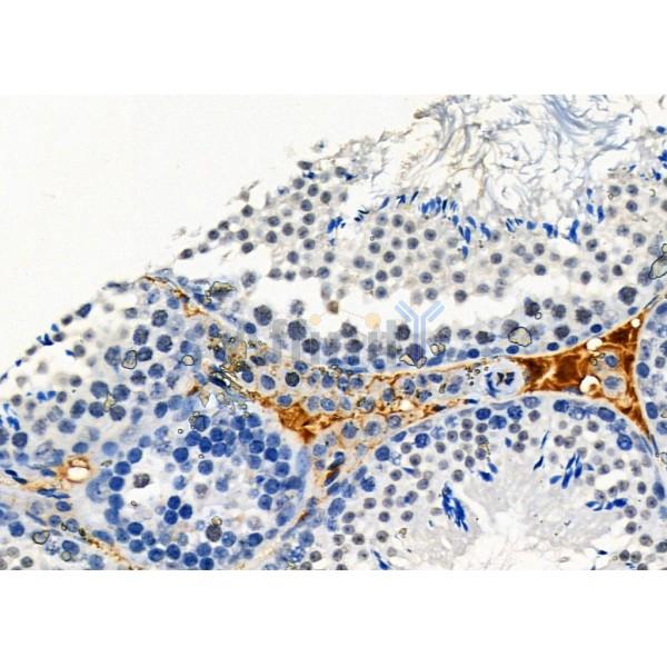 Валидация Affinity DF10237 - 5818