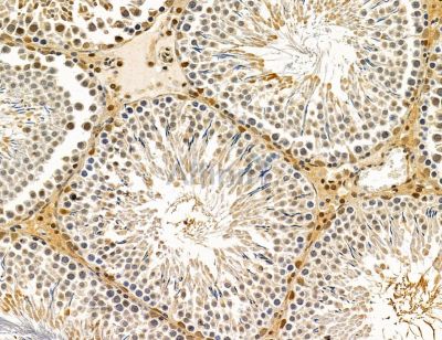 Валидация Affinity DF14790 - 10885