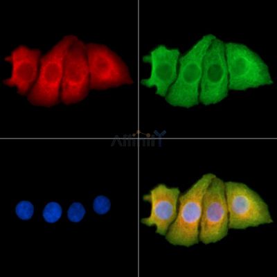 Валидация Affinity DF14140 - 9940