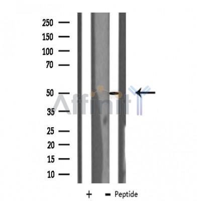 Валидация Affinity DF3212 - 14030