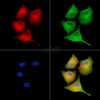 Валидация Affinity DF14093 - 9885