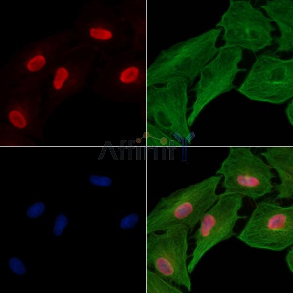 Валидация Affinity DF3730 - 14788