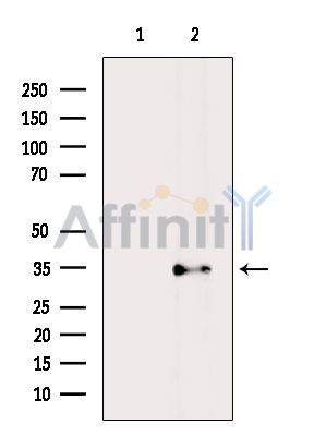 Валидация Affinity DF5110 - 17044