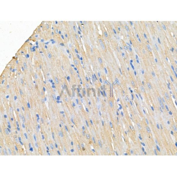 Валидация Affinity DF13338 - 8529