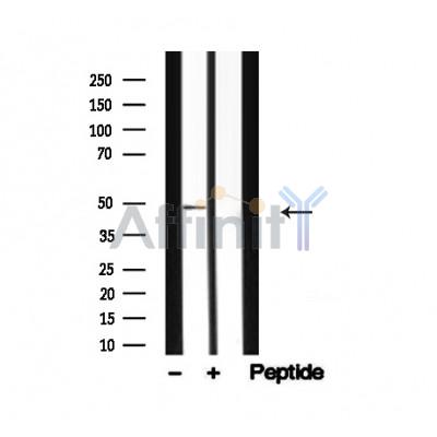 Валидация Affinity AF4713 - 2330