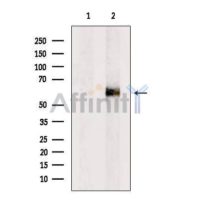 Валидация Affinity DF7426 - 19168
