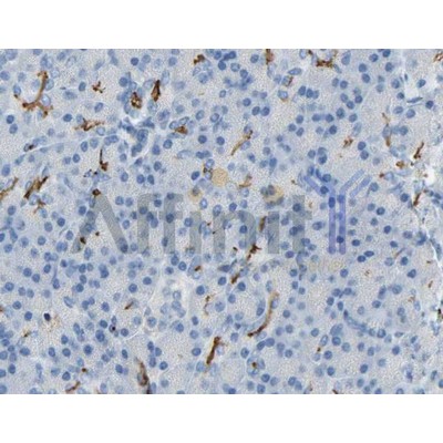 Валидация Affinity AF5120 - 2488