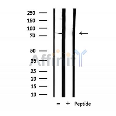 Валидация Affinity DF7380 - 19107