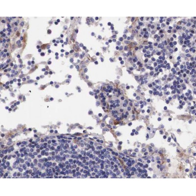 Валидация Affinity AF3467 - 1985